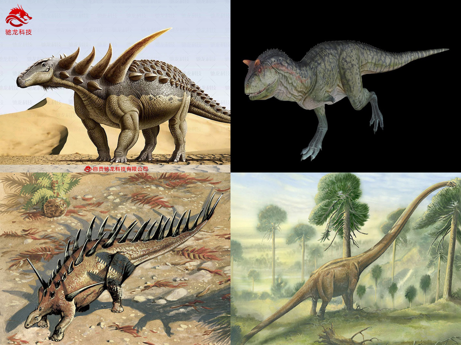 Dinosaurs Classification